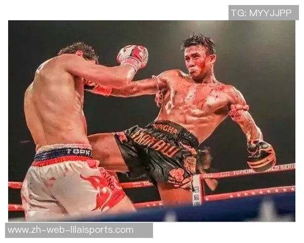 中国功夫与美国拳击的较量探讨传统与现代搏击艺术的魅力与差异